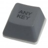 Any Key